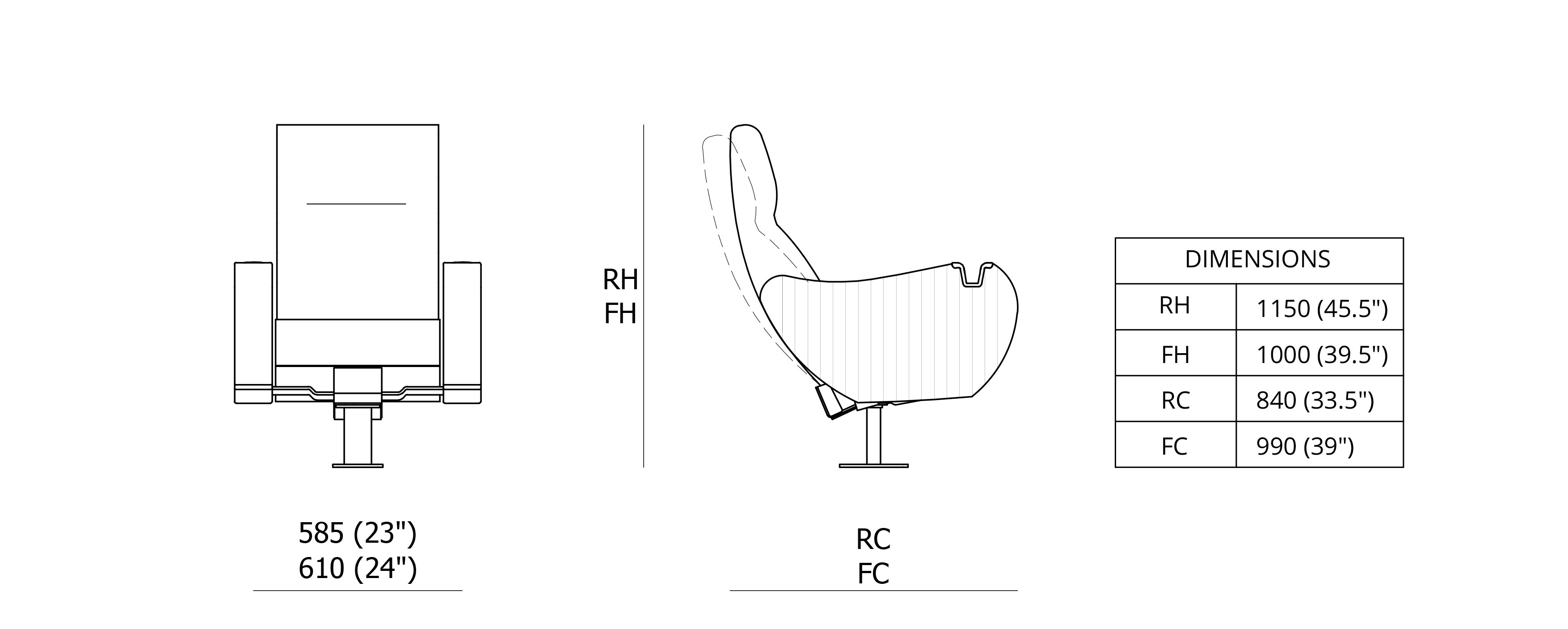 Rex Dimensions