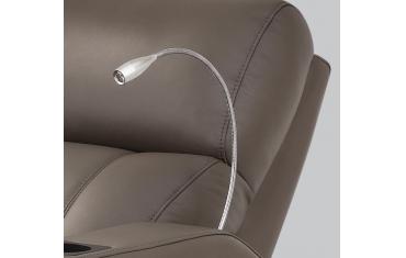 Gooseneck Light