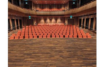 The Royal Irish Academy of Music (RIAM)