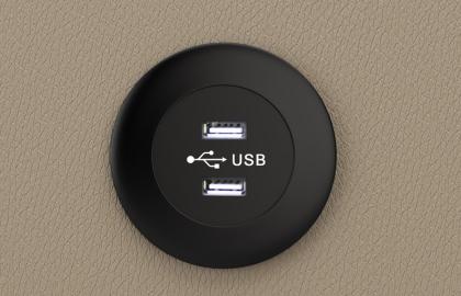 Dual USB Charging Pont