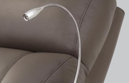Gooseneck Light