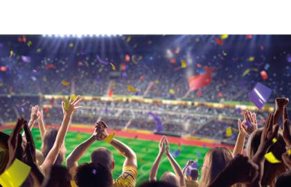 sportsandstadiumbrochure.jpg